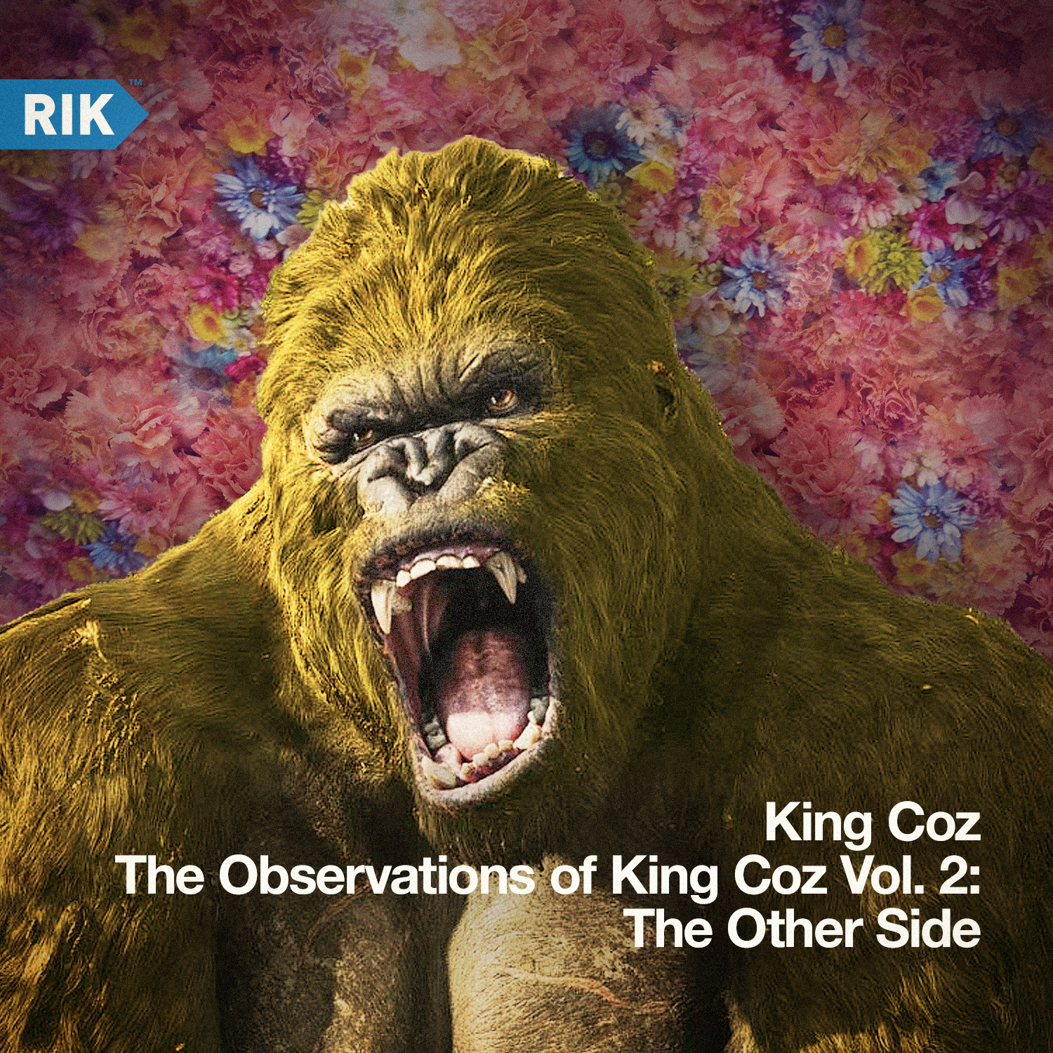 King Coz — The Observations of King Coz Vol 2: The Other Side
