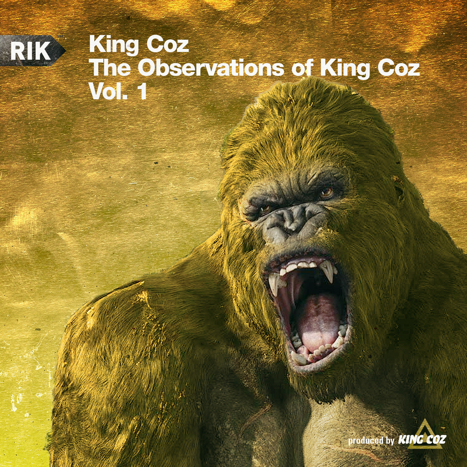 King Coz — The Observations of King Coz Vol. 1